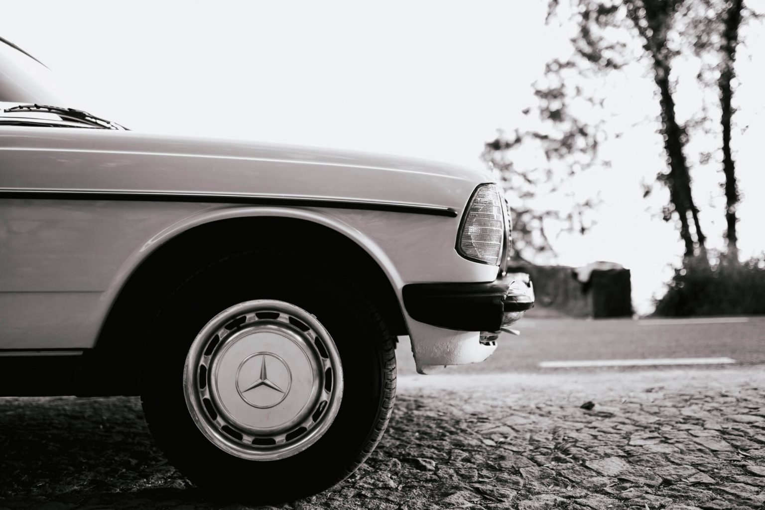 banner_tours